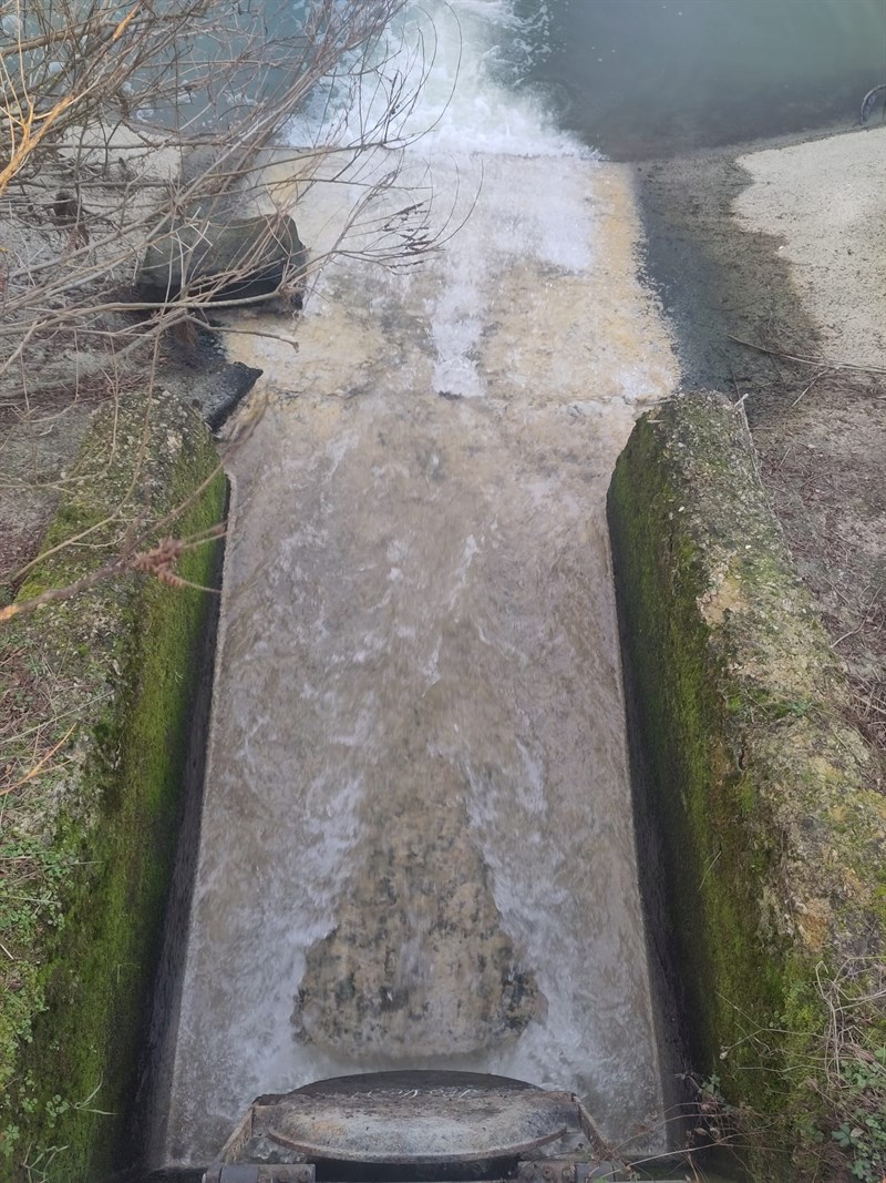 Le immagini inviate dalla lettrice - Lago di bilancino, sversamento fognario - 4