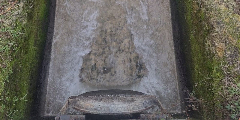 Le immagini inviate dalla lettrice - Lago di bilancino, sversamento fognario - 1