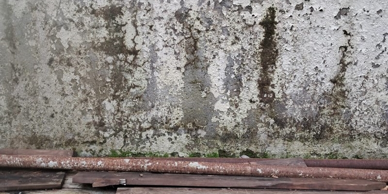 cimitero comunale di Via Guido Reni