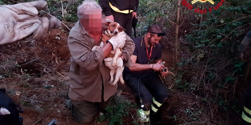 Cade nella tana dell'istrice: cagnolino salvato dai Vigili del fuoco di Figline