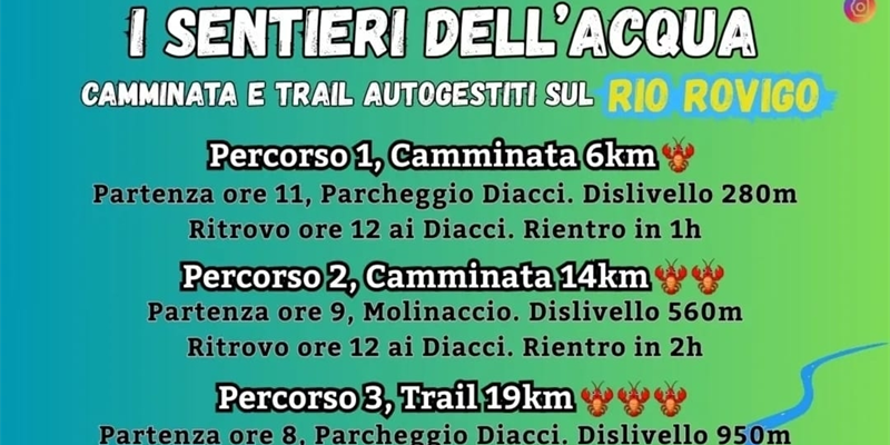 Un taglio della locandina 