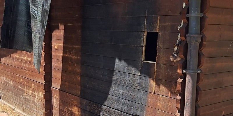 Particolare delle fiamme