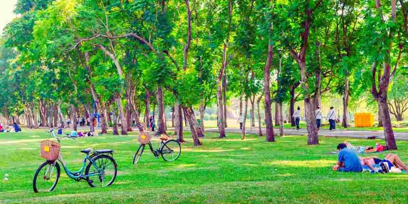 Uno dei parchi più misteriosi e incantevoli al mondo si trova in Italia-okmugello.it