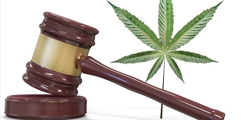 Cannabis e legalità