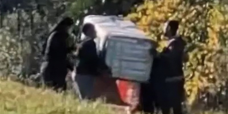 Strani pacchi nel parco