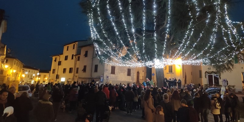 L’ascensione dell’albero di Natale  in piazza del Poggio.