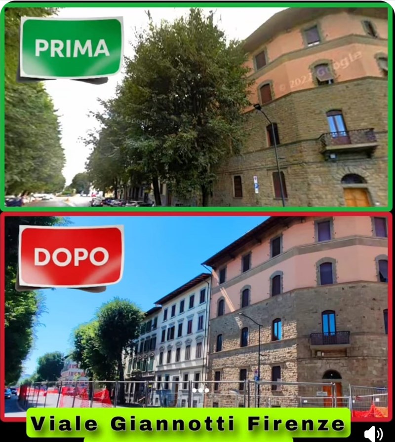 viale Giannotti prima e dopo l'albericidio