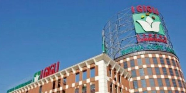 il centro commerciale I Gigli