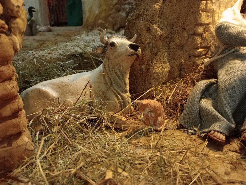 Il presepe di Franco Nuti