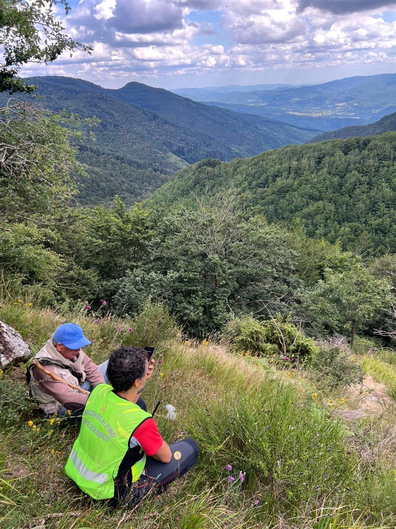 Le fasi della ricerca