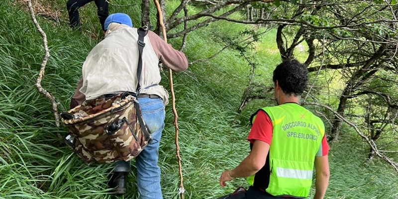 Le fasi della ricerca