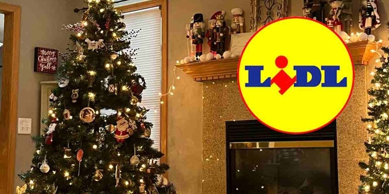 lidl natale 15112025 okmugello.it