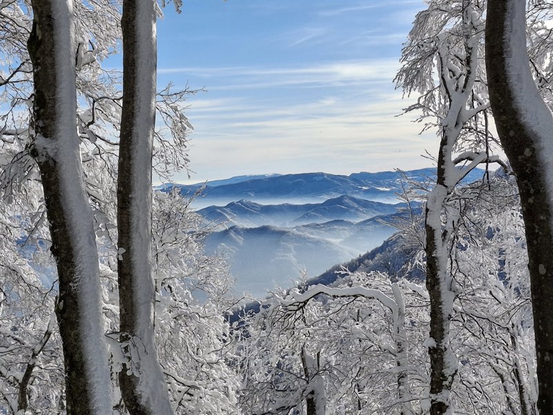 La bellezza del mattino