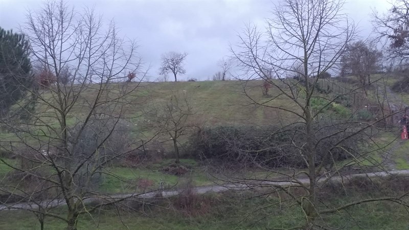 Panorama fronte casa dove scorrazano i lupi