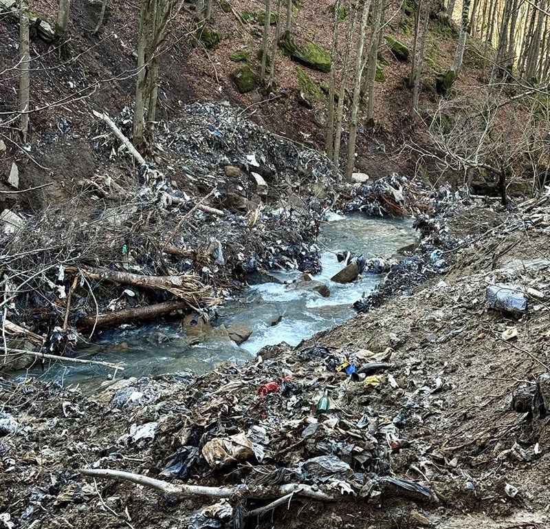 rifiuti nella valle del rovigo