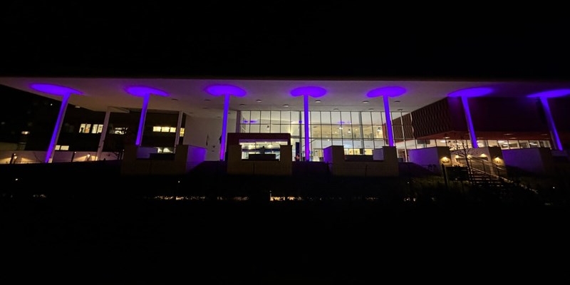 Santa Maria Annunziata in viola