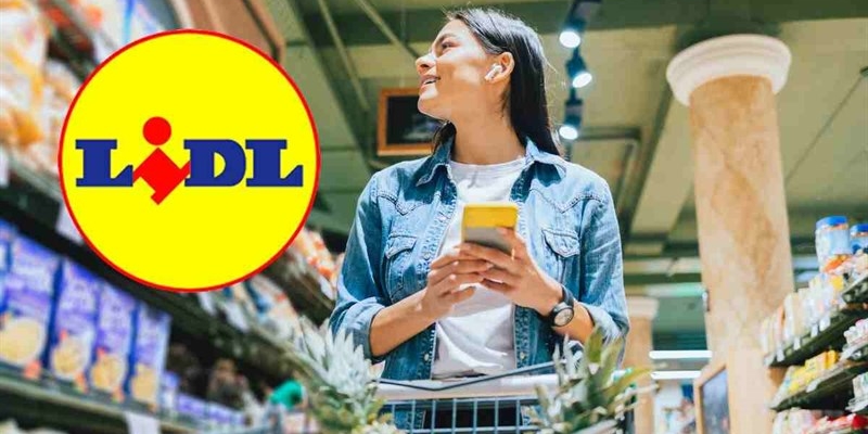  Lidl mette in vendita l’organizer che fa invidia a Ikea: costa 8,99€ e hai pochi giorni per averlo