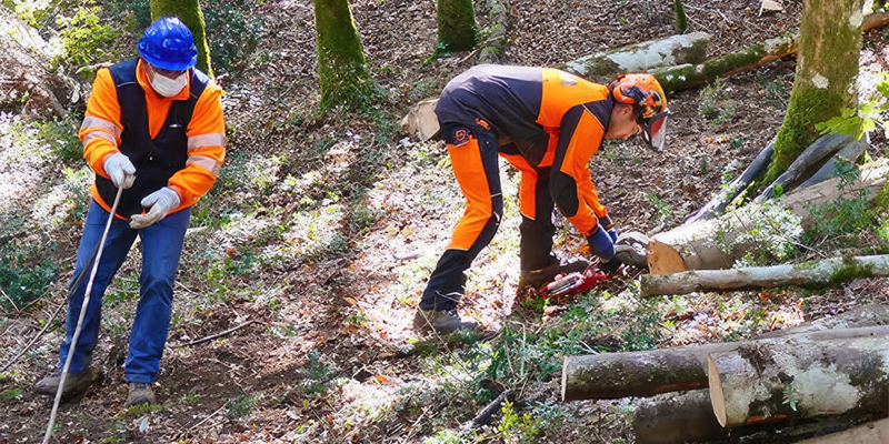 Addetti forestali della Toscana a scuola in Valdisieve: porte aperte al Centro Forestale di Rincine