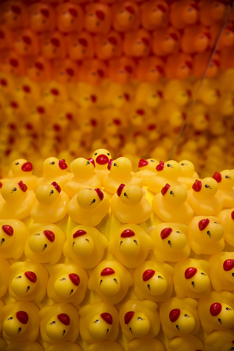 Una foto della mostra