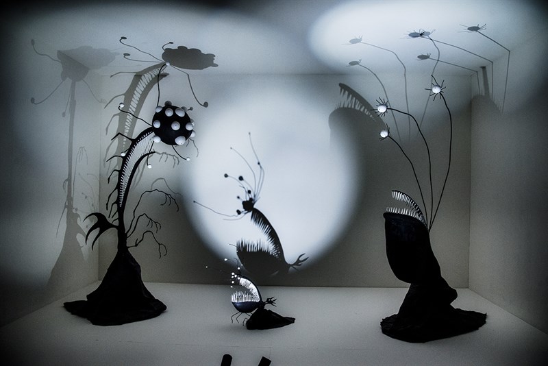 Una foto della mostra