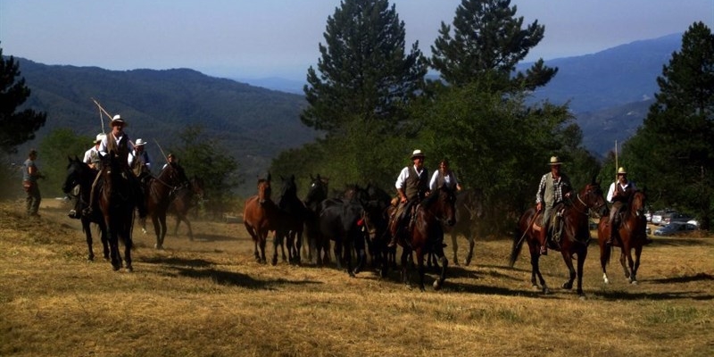 Una immagine che scattammo qualche anno fa alla Fiera dei Poggi