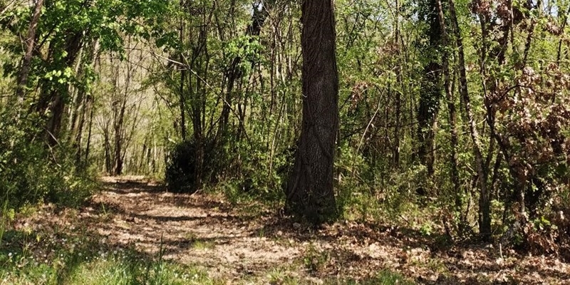 i luoghi della strage del Pratale