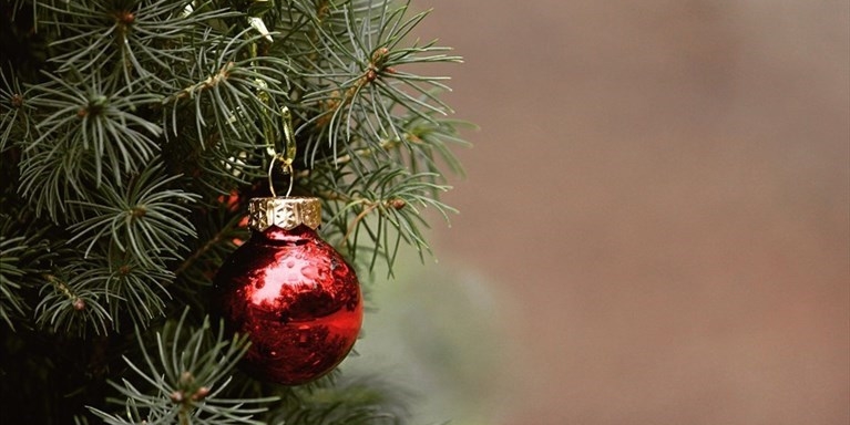 Il Natale si avvicina e Pontassieve parte con gli eventi: il ricco programma
