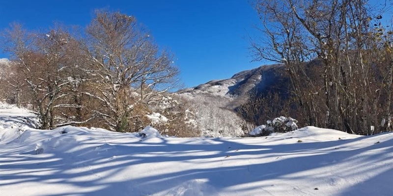 Paesaggio innevato della camminata