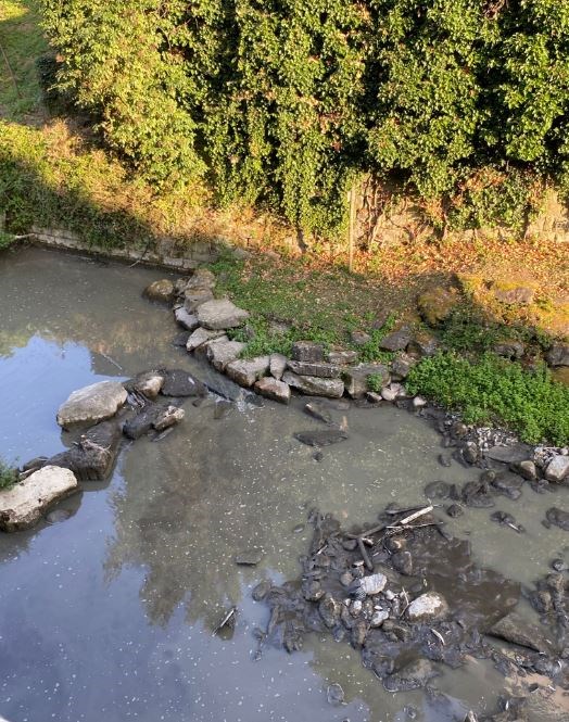 La moria di pesci e l'onda nera nel Rincine