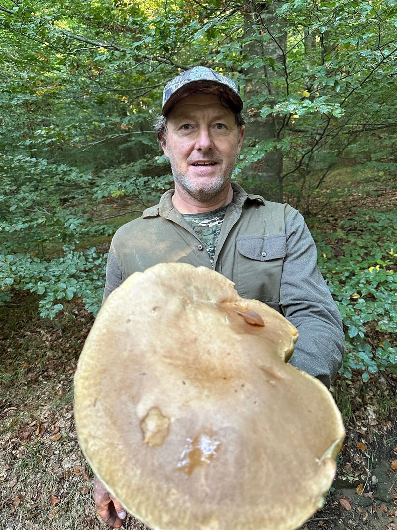 Raccolta funghi Firenzuola 25-09-2025