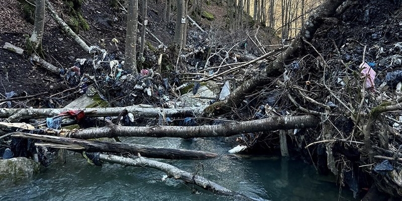 rifiuti nella valle del rovigo