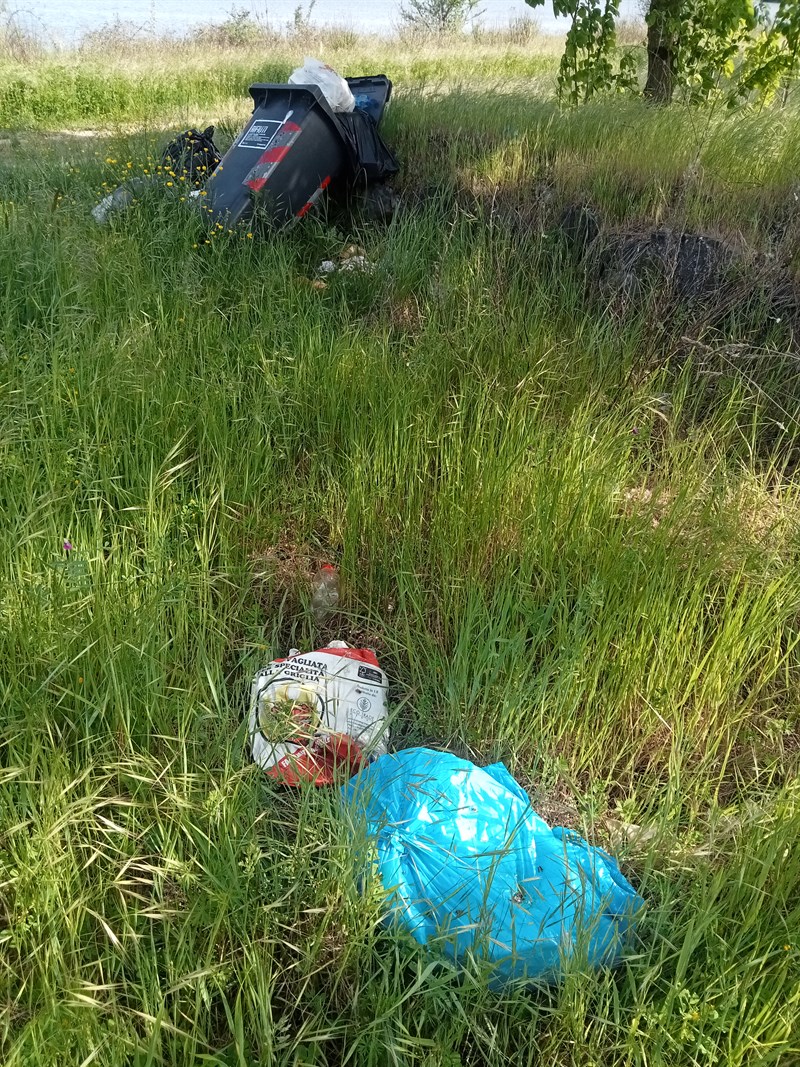 rifiuti lungo il lago di Bilancino