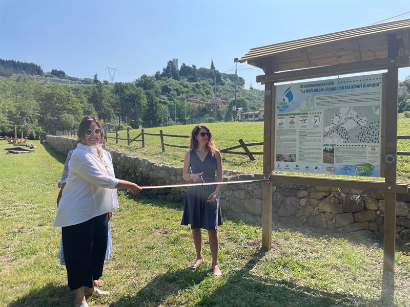 I pannelli nel lago di Legri