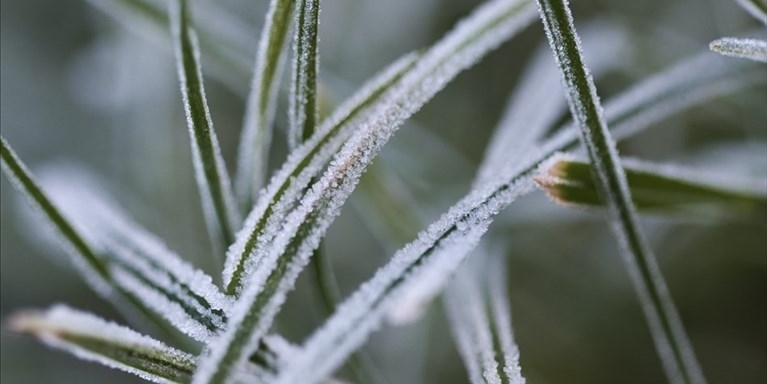 allerta meteo per ghiaccio