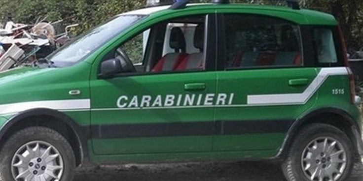 Carabinieri forestali. Foto di repertorio