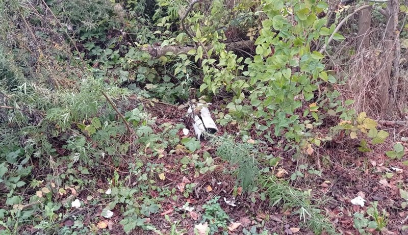 Le pessime condizioni della pista ciclabile tra Borgo e Vicchio