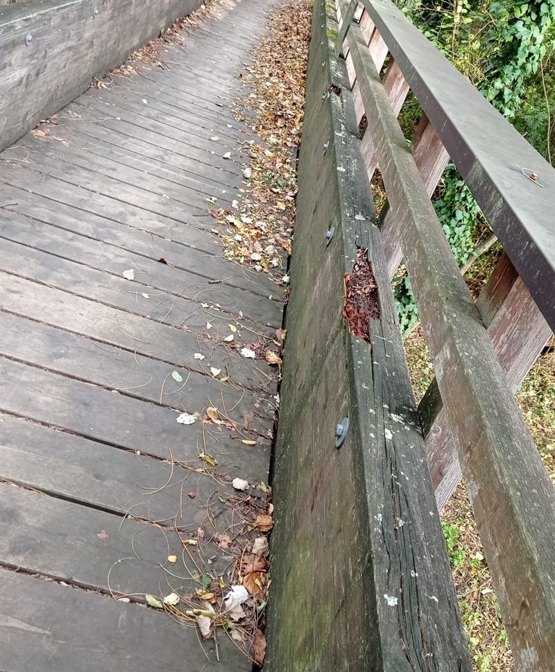 Le pessime condizioni della pista ciclabile tra Borgo e Vicchio