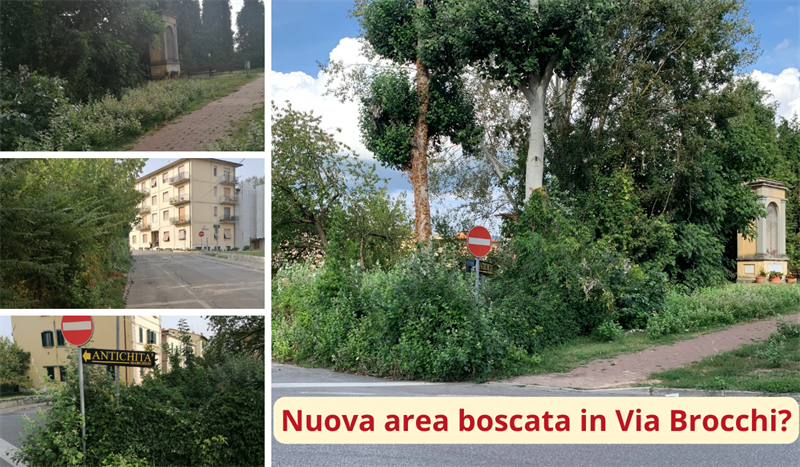 Nuova area boscata in via Brocchi