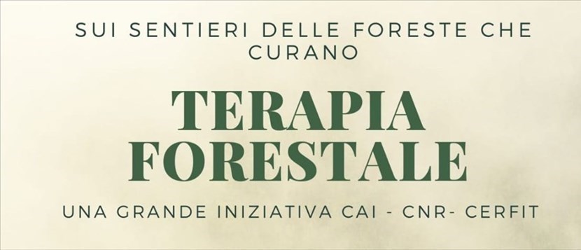 Terapia Forestale