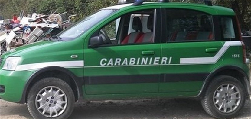 Carabinieri forestali. Foto di repertorio