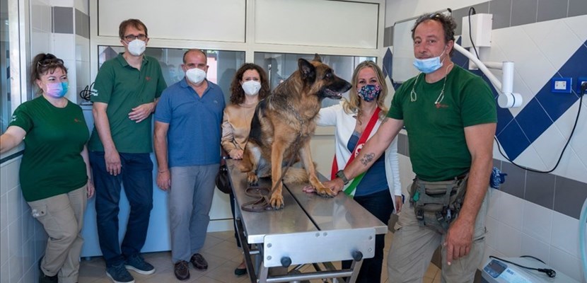 sala operatoria al parco degli animali