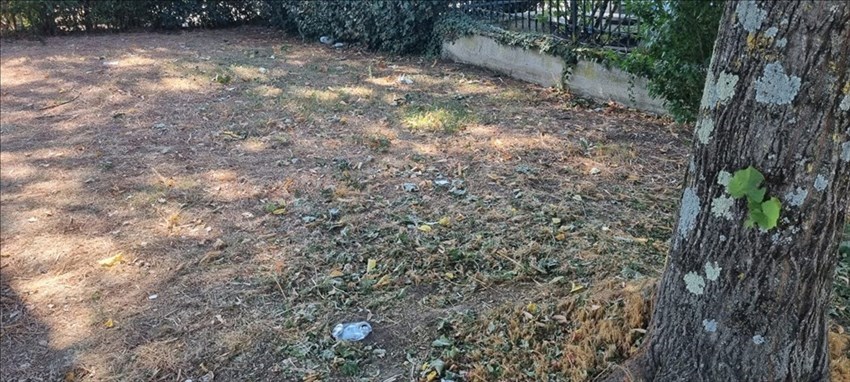 Rifiuti e bottiglie ai giardini di Via Calamandrei a Borgo
