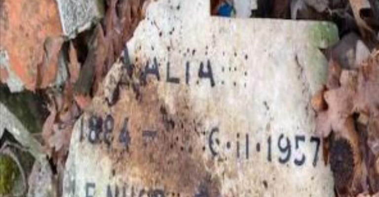 Uno dei resti ritrovatgi nel bosco