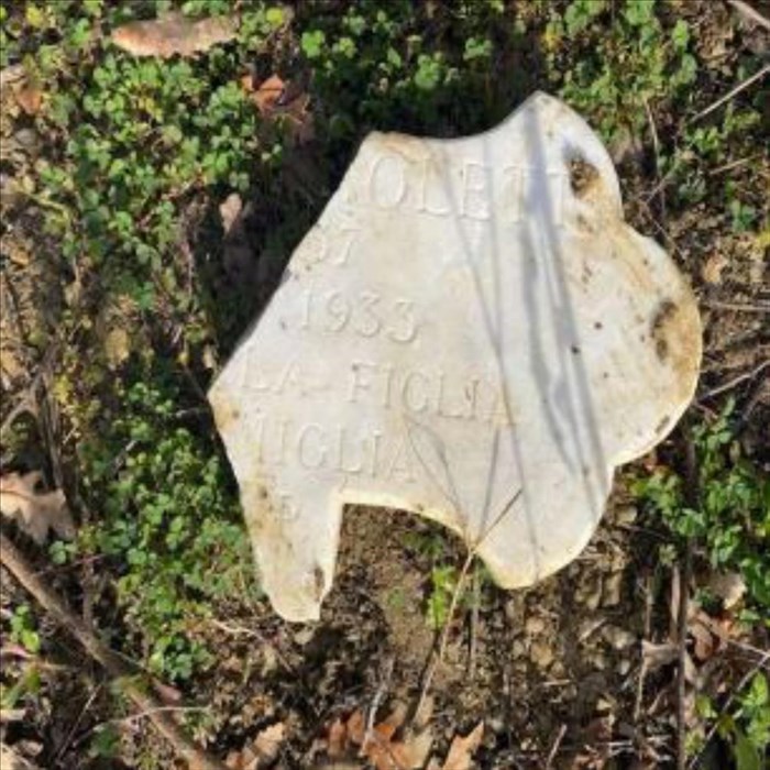 la macabra scoperta nel bosco accanto al cimitero di Trespiano
