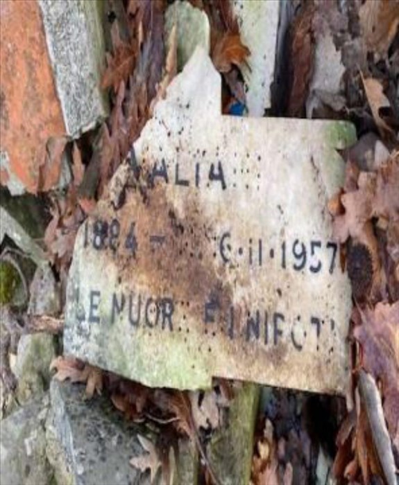 la macabra scoperta nel bosco accanto al cimitero di Trespiano