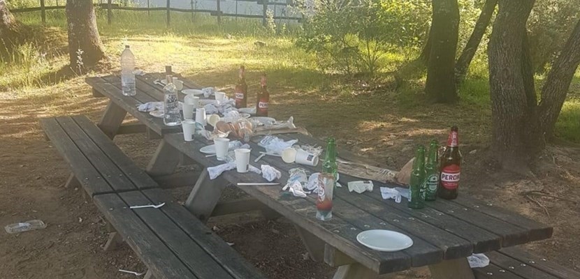 Inciviltà stamani a La Pineta