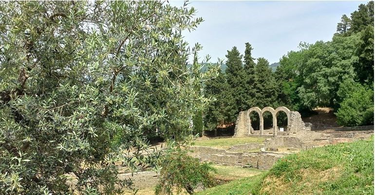 l'area archeologica di Fiesole
