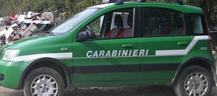 Carabinieri forestali. Foto di repertorio