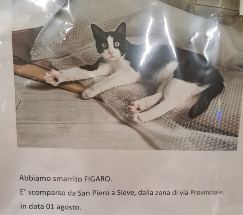 Figaro