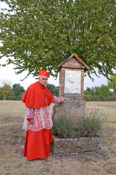 Il cardinale Simoni tabernacolo Albero Corniolo